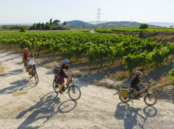 Vacanze in bicicletta coi bambini: le mete del 2020