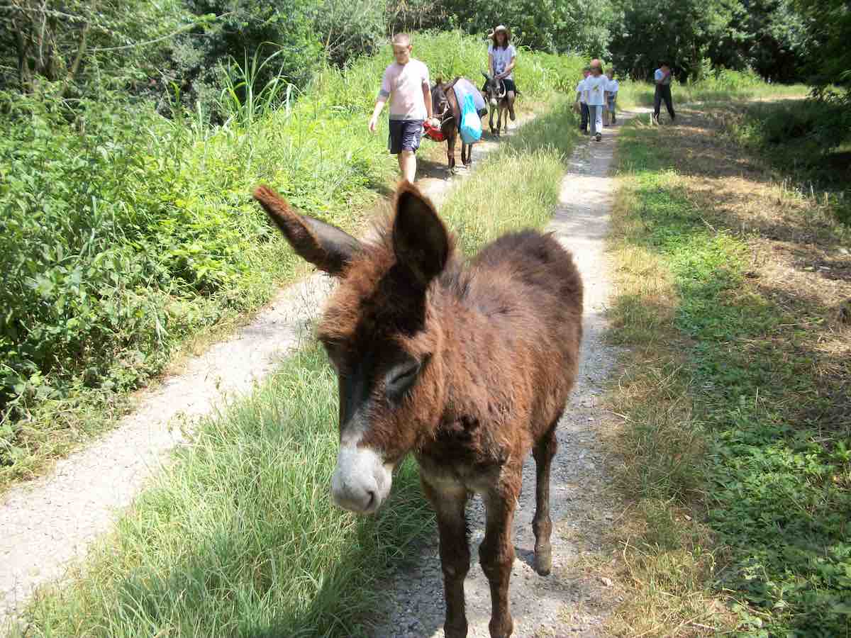 In Cascina Santa Brera marzo è avventura nella natura