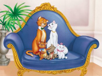 La città dei Gatti edizione 2020, per tutti gli amanti dei felini