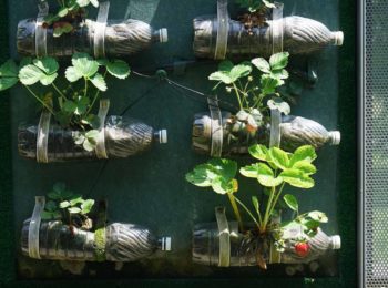 Museo A come Ambiente a marzo, all’insegna del divertimento e della natura