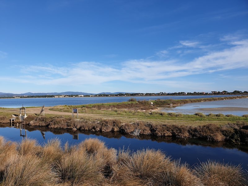 salins des pesquiers