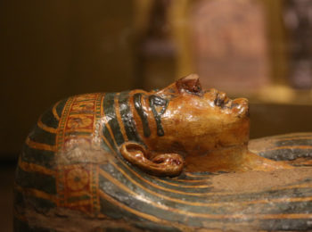 Visitare i musei da casa con i virtual tour