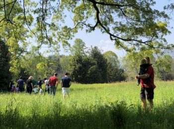Caccia al tesoro botanico al Castello di Miradolo ad aprile