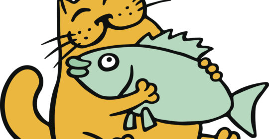 Vitamina D pesce e altri alimenti