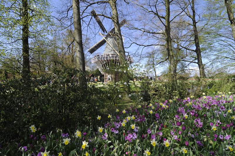 keukenhof