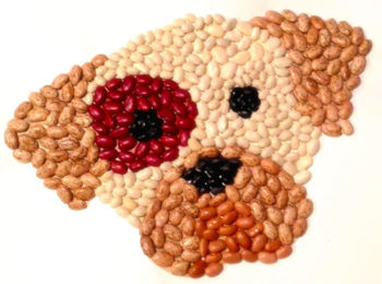 Il mosaico con legumi, riso e zuccherini