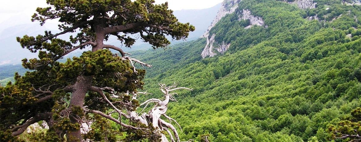 Visitare la Basilicata - il Parco del Pollino 