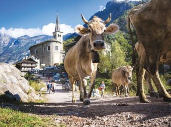 Valsesia, la montagna a misura di famiglia