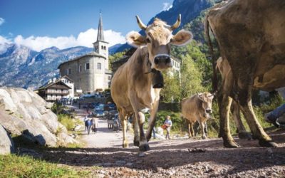 Valsesia, la montagna a misura di famiglia