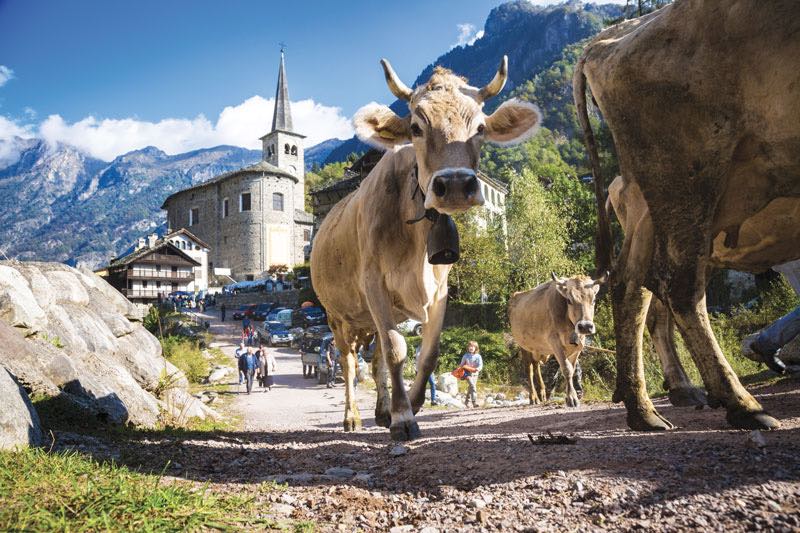 Valsesia, la montagna a misura di famiglia