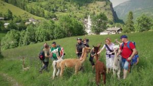 montagna con bambini