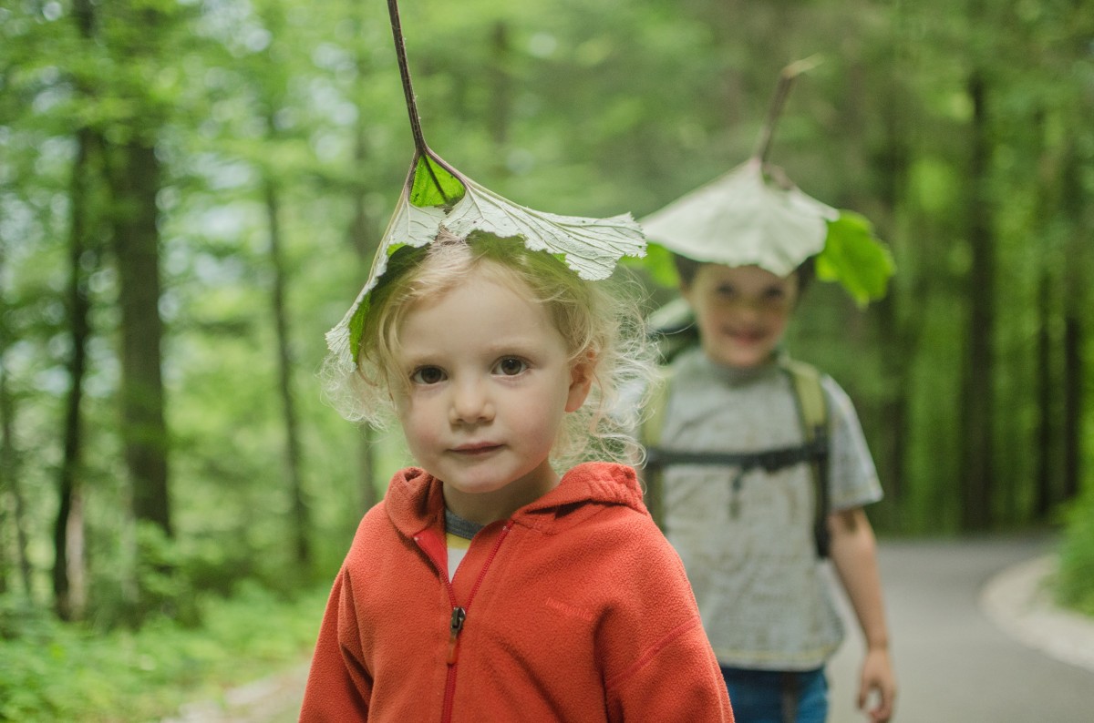 libri per imparare dalla natura bambini verde bosco