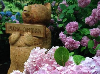 Il Sentiero dei Proverbi, una passeggiata facile nei dintorni di Lissolo