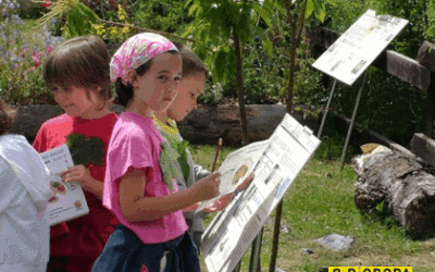 Il Giardino Botanico di Oropa, un’oasi del WWF tutta da esplorare