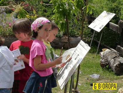 Il Giardino Botanico di Oropa, un’oasi del WWF tutta da esplorare