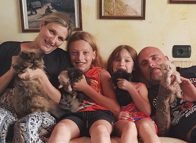 La famiglia dei gatti in una casa nel bosco