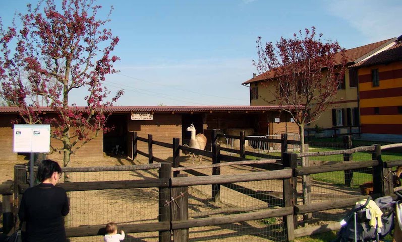 agriturismi piemonte bambini