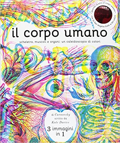 corpo umano margherita