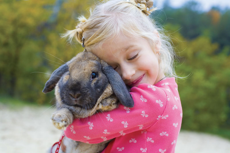 Pet education: avvicinare gli animali a Milano e dintorni