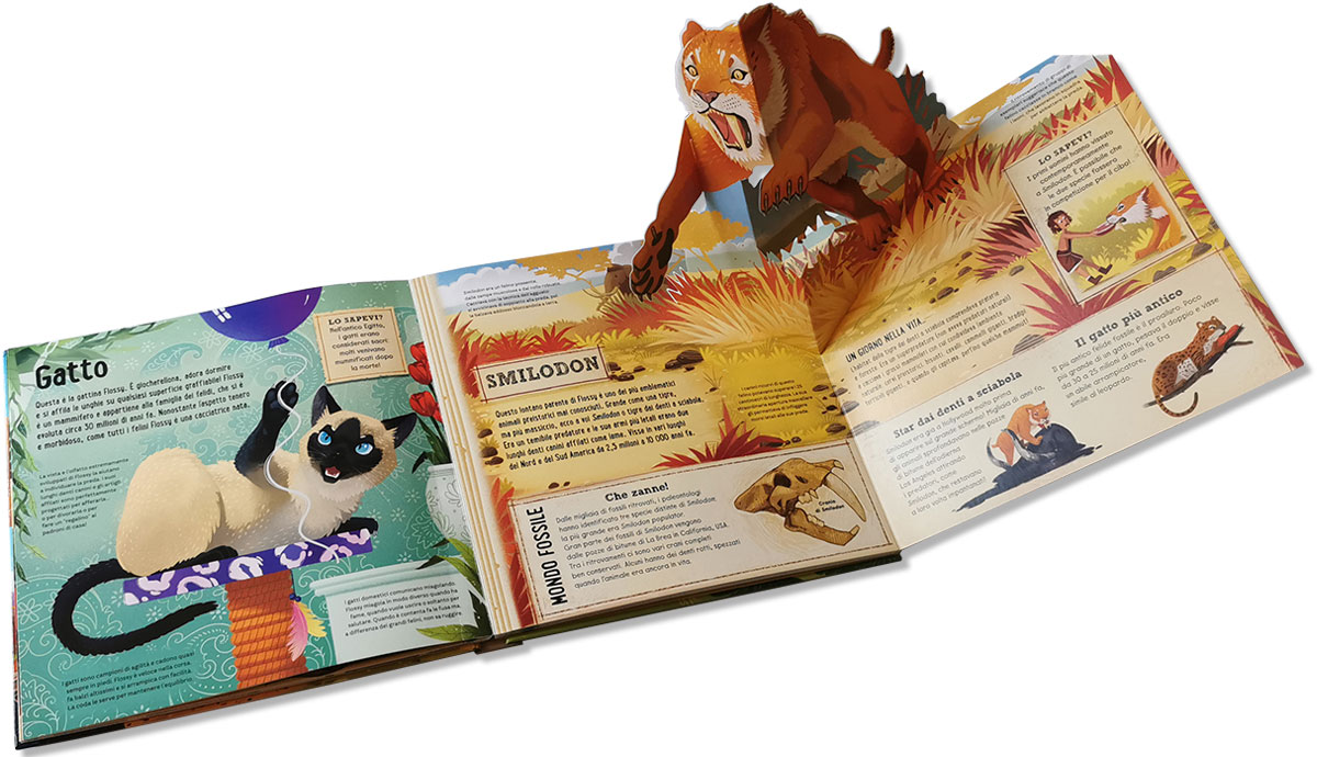 Libri pop-up tridimensionali per bambini, Sassi Junior