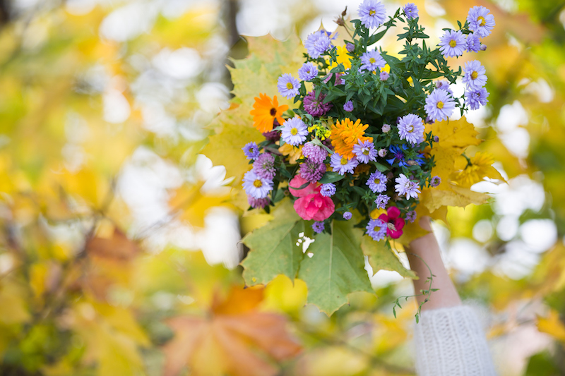 fiori da regalare