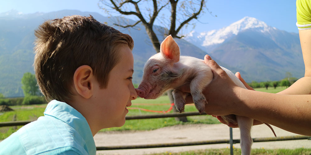 animali e bambini milano