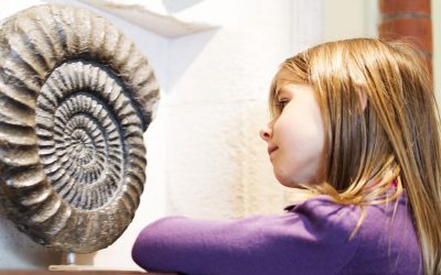 10 consigli per visitare un museo con i bambini