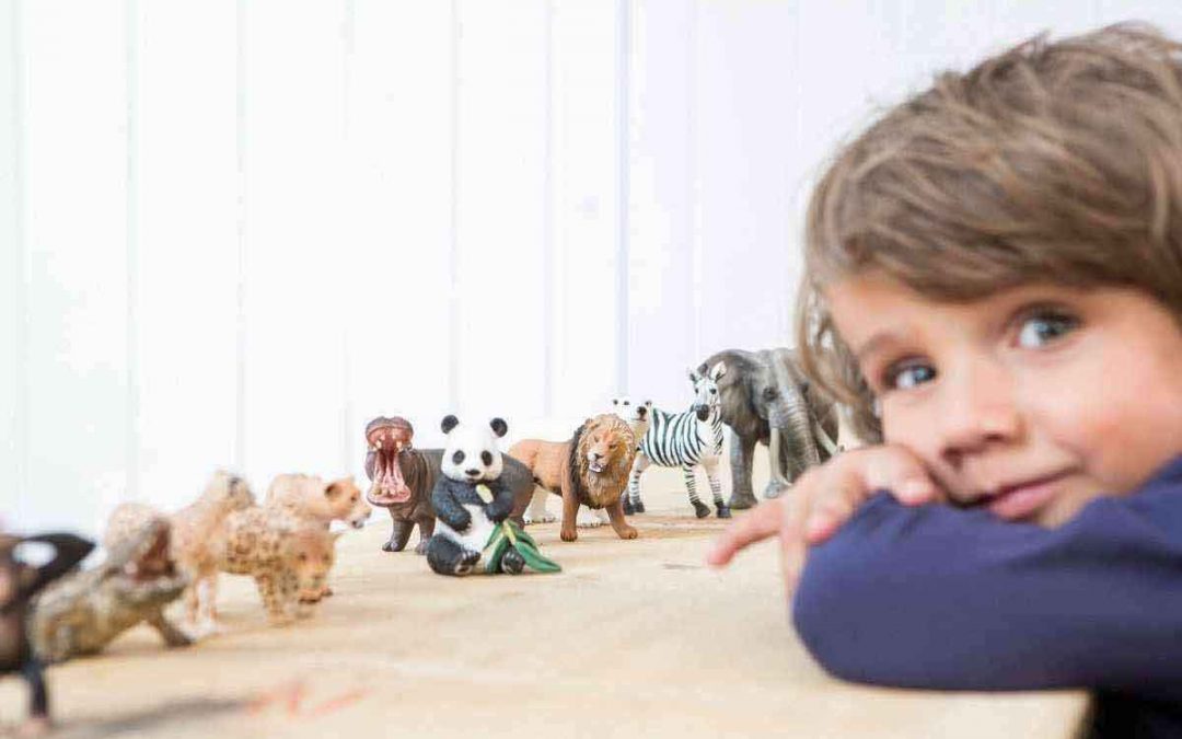 Il bellissimo mondo degli animali Schleich