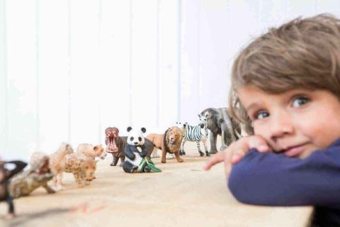 Il bellissimo mondo degli animali Schleich