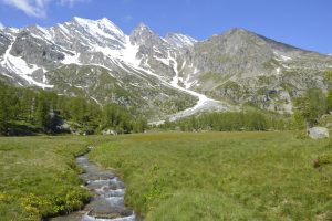 gran paradiso