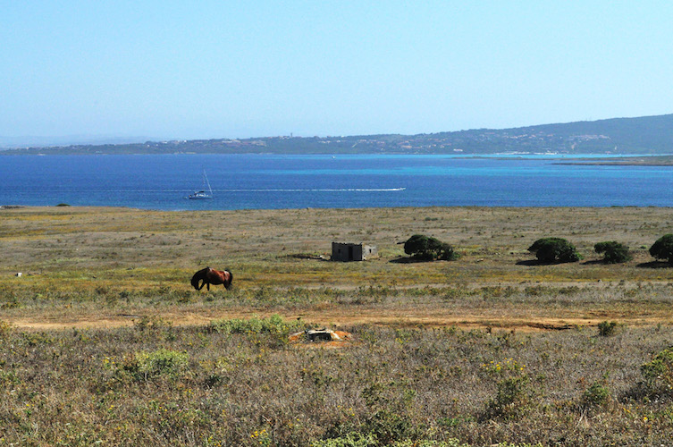 Sardegna