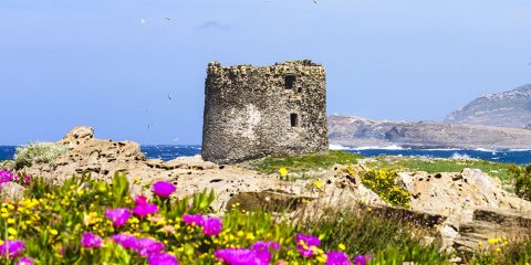 Sardegna, non solo mare