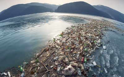 Cosa conosci delle microplastiche?