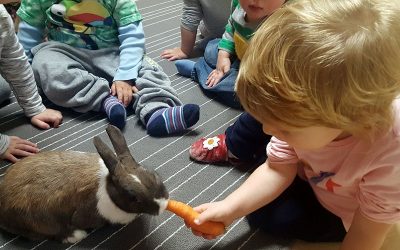 A scuola con la Pet Therapy e arrivano i coniglietti in classe