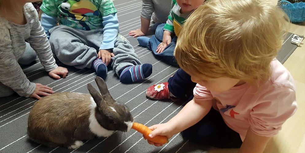 A scuola con la Pet Therapy e arrivano i coniglietti in classe