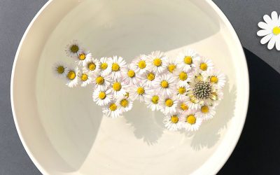 Il coniglietto di primavera: la creatività di Pasqua