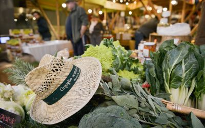 Una Festa per la Terra a Eataly Torino Lingotto