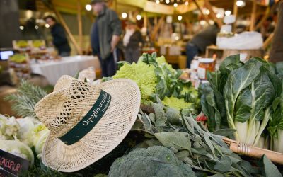 Una Festa per la Terra a Eataly Torino Lingotto