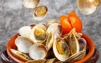 Sai smaltire i gusci delle vongole?