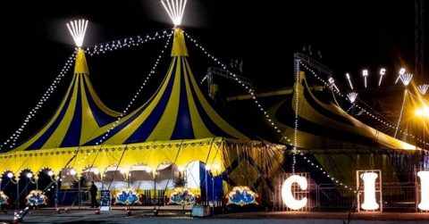 Il Gravity Show, il grande circo a Torino: lo sconto per GG