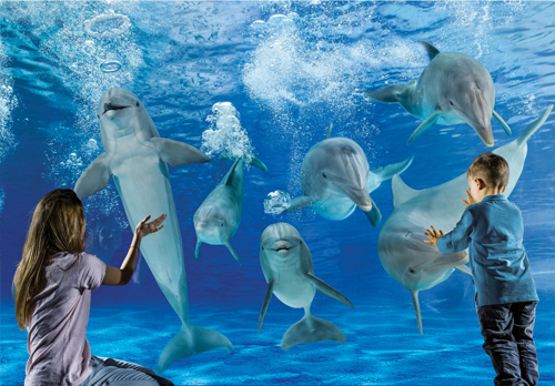 delfini