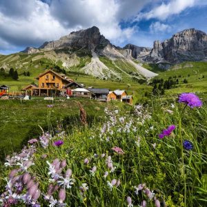 Dolomiti