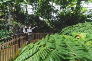 serra tropicale MUSE