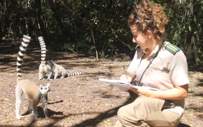 Viaggiare green, nel rispetto della natura e degli animali