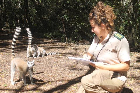 Viaggiare green, nel rispetto della natura e degli animali