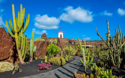 Lanzarote, l’isola nera