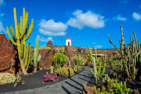 Lanzarote, l'isola nera