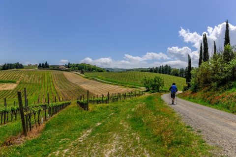 cammini toscana