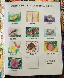 libro vulva