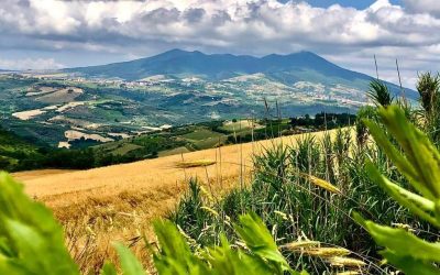 Settimana del Pianeta Terra: tutti gli eventi in giro per l’Italia